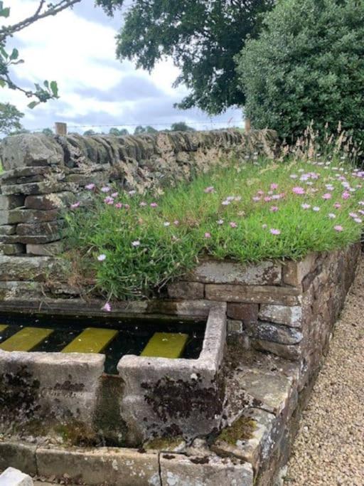 فيلا Ivy House Farm, Near Longnor Longnor  المظهر الخارجي الصورة